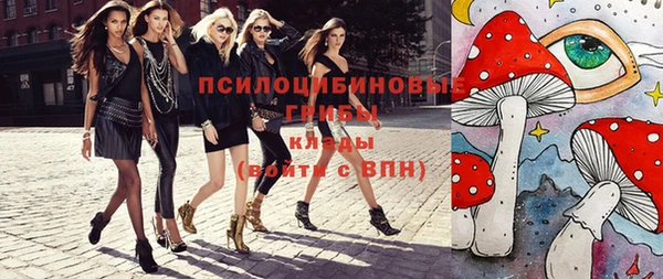 кокс Алексин